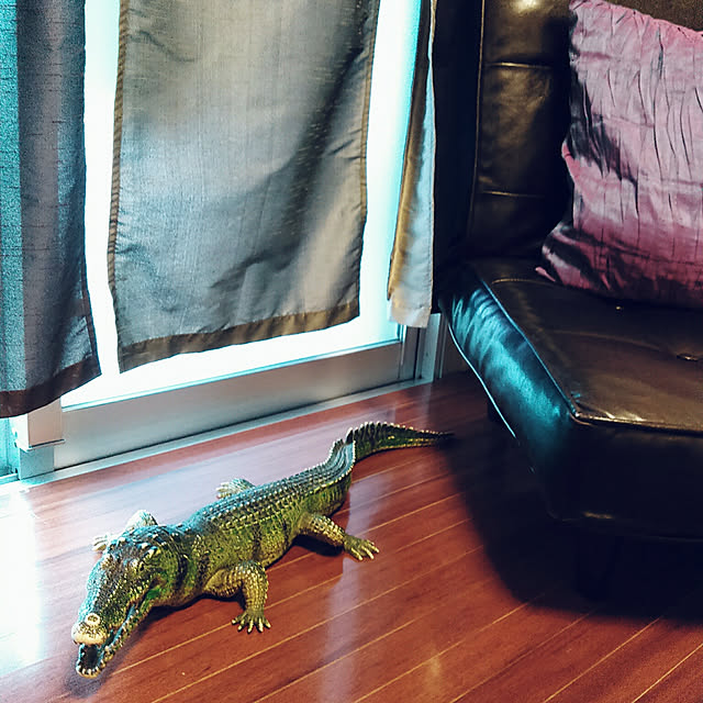 waniwaniさんの実例写真