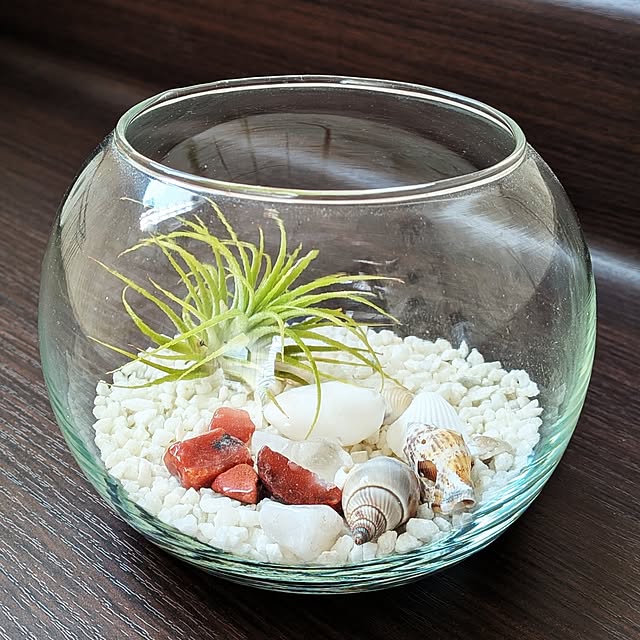 kumijiさんの部屋