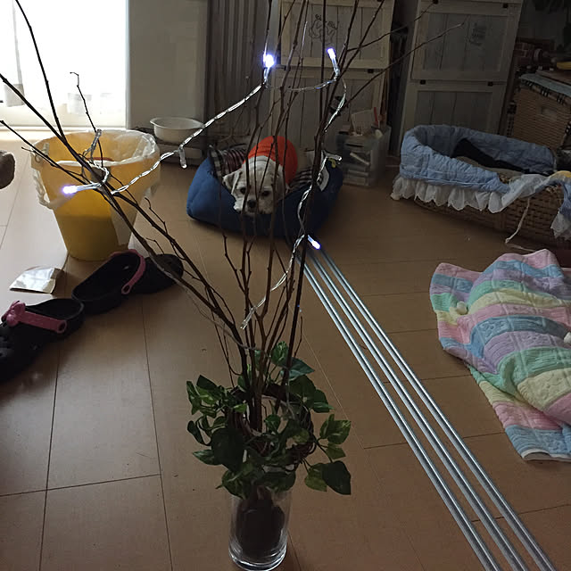 emiさんの実例写真