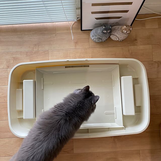 mangomilkさんの部屋