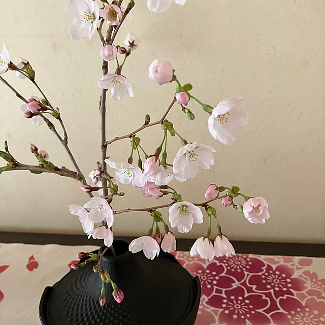 ikubooさんの部屋