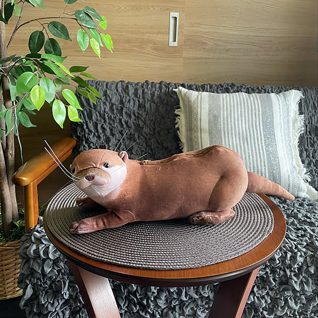 aureaさんの実例写真