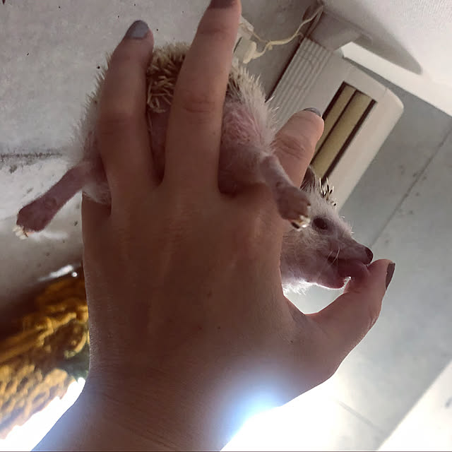 Chikakoさんの実例写真