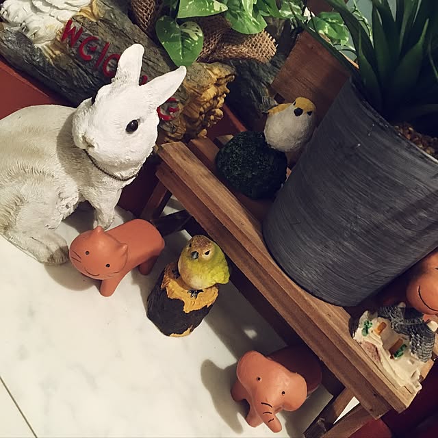 chiroさんの実例写真