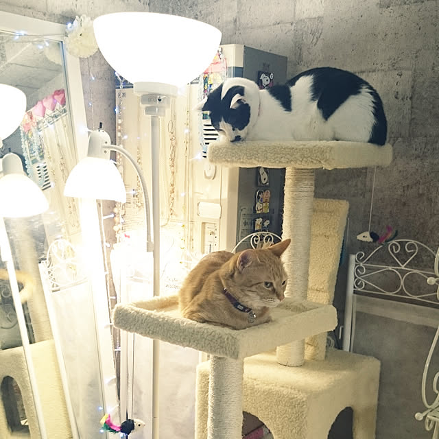 asuminさんの実例写真