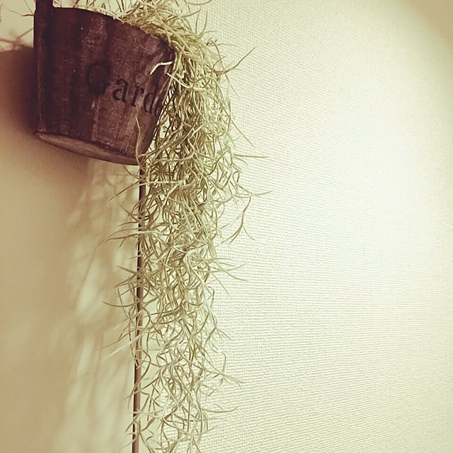 cafefamさんの実例写真
