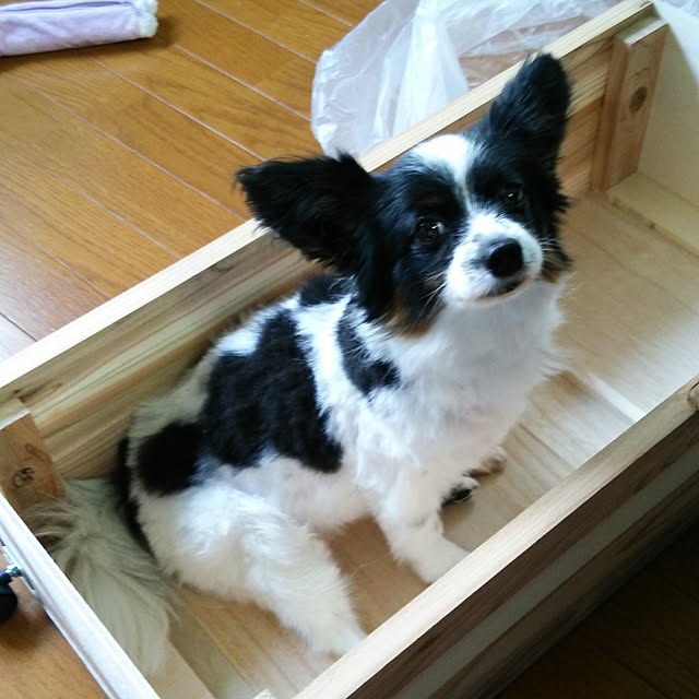 Smileberryさんの実例写真