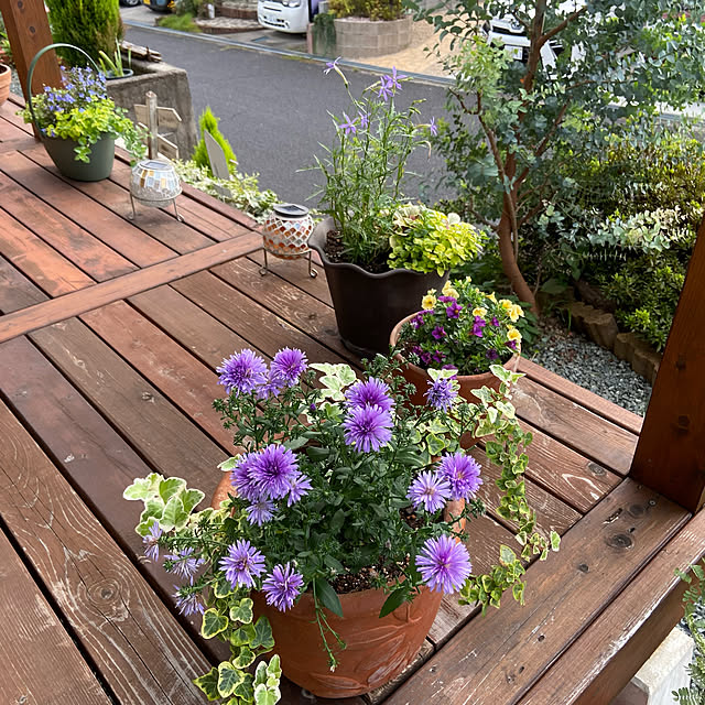 murasaki808さんの実例写真