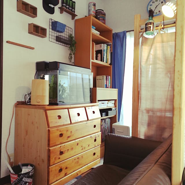 部屋全体/植物/DIYのインテリア実例 - 2017-03-30 12:54:25