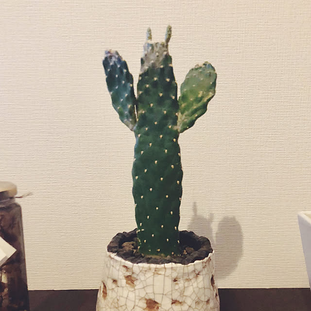 hana0221さんの実例写真