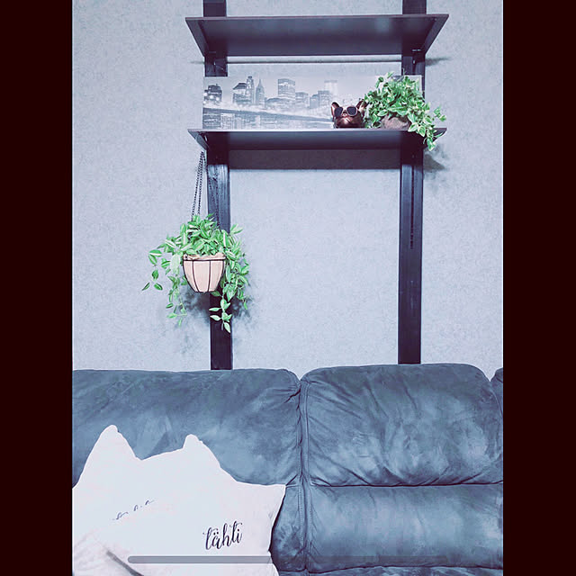 akさんの実例写真
