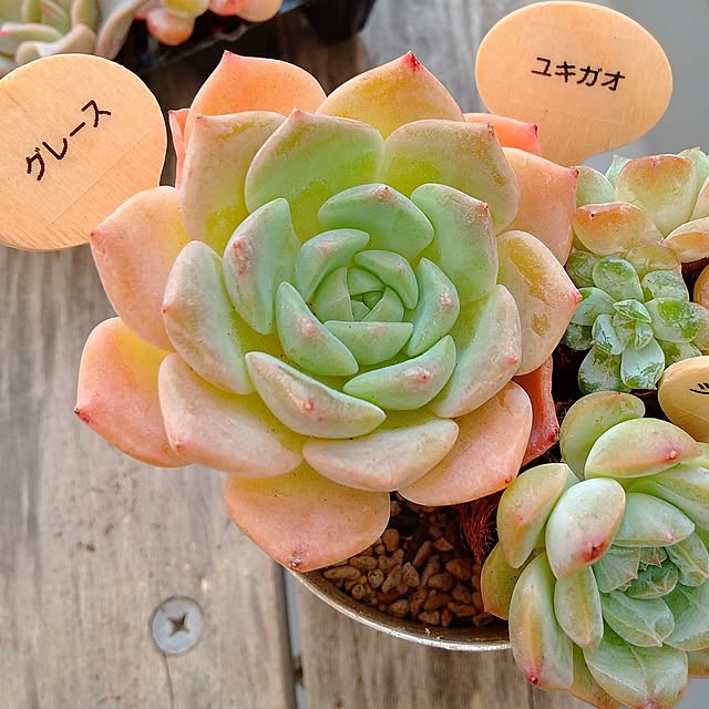 meiさんの部屋
