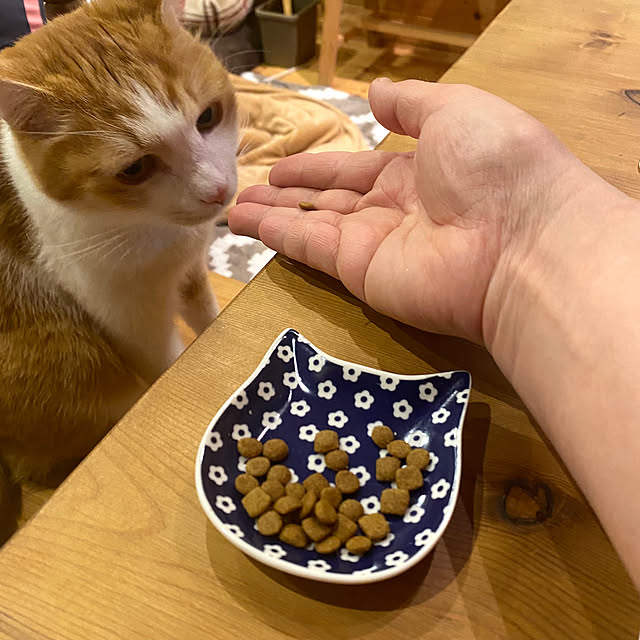 senbei.sakuramochiさんの実例写真