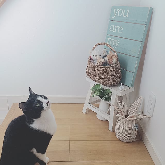 lovecatさんの実例写真