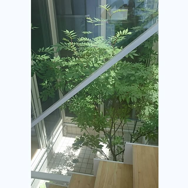 ms.さんの実例写真