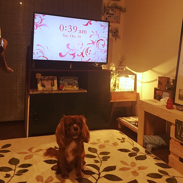KTさんの実例写真