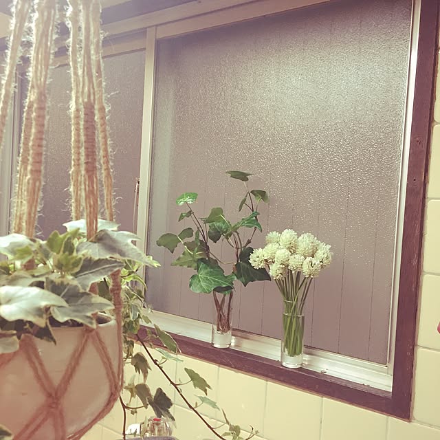 sei.hugさんの実例写真