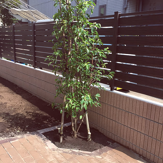 tomoyuzupiさんの実例写真