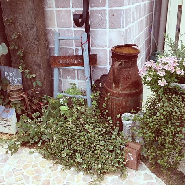 matricariaさんの実例写真