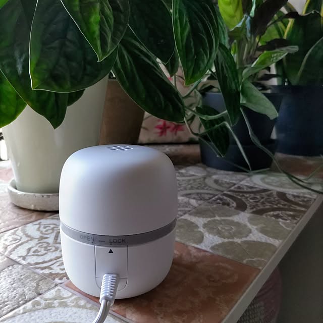 miwaさんの部屋