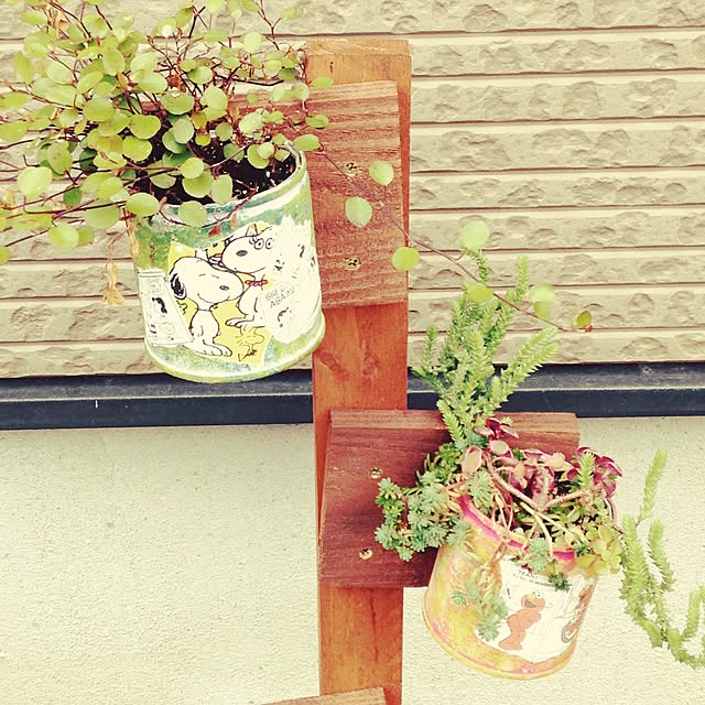 anzさんの実例写真