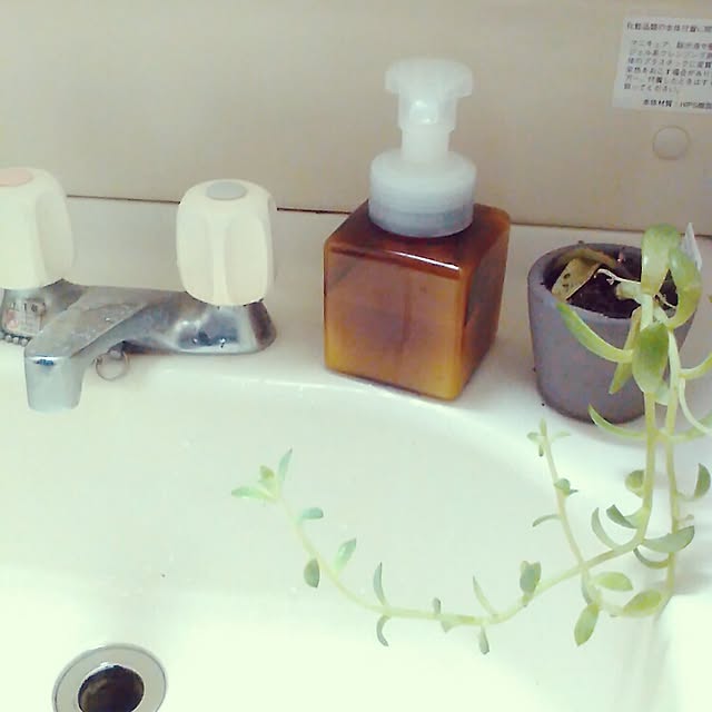 sunnylavenderさんの実例写真