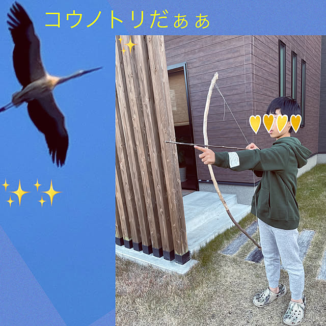 seiさんの実例写真