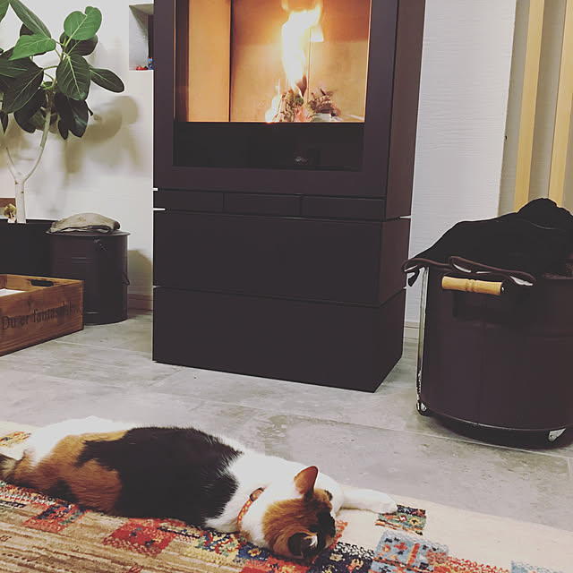 momochiyoさんの実例写真