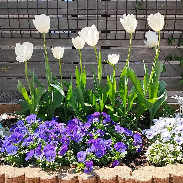 ryomomさんの実例写真