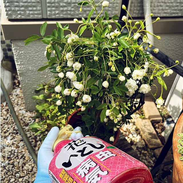 yukarin-gardenさんの実例写真