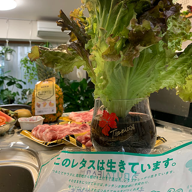 Aqettyさんの部屋