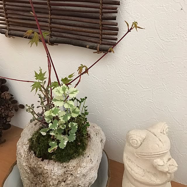 kko1208さんの実例写真