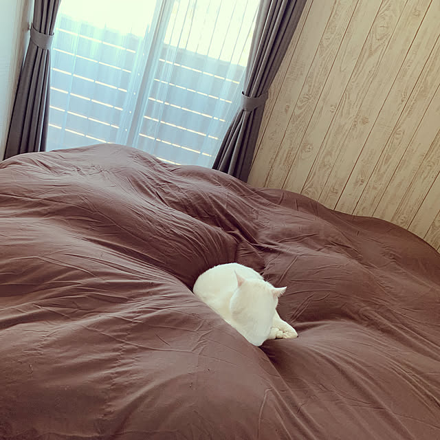 tomomiさんの実例写真