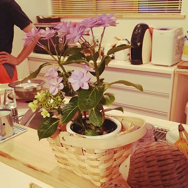 maiさんの実例写真