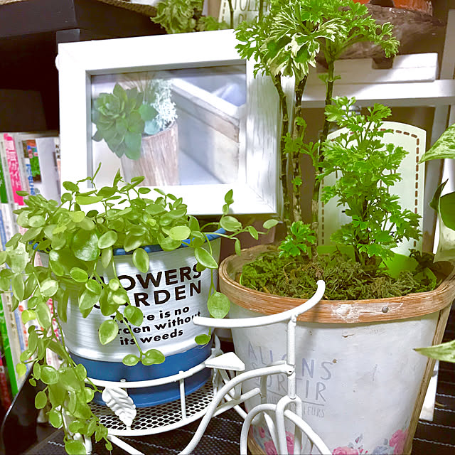 fuuさんの実例写真