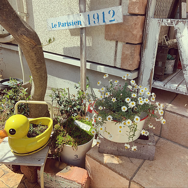tomoさんの実例写真