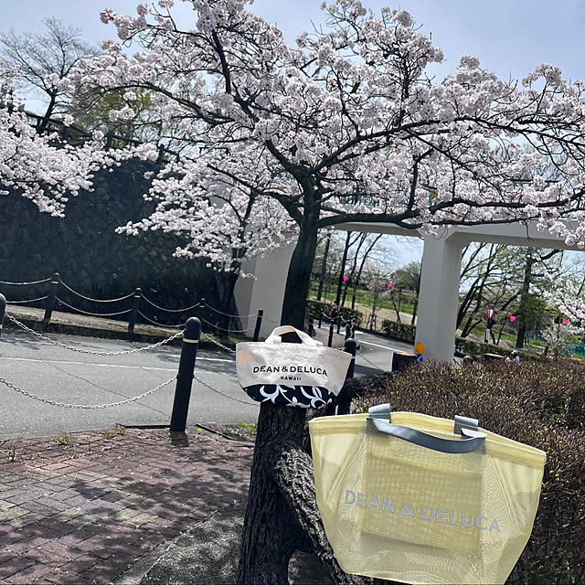 rikuerinka86さんの部屋