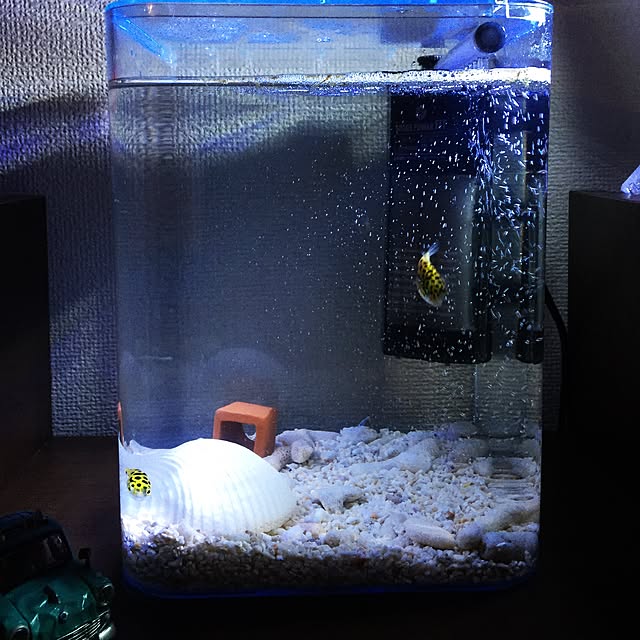 R2D2さんの実例写真