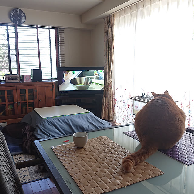 okyosan101さんの実例写真