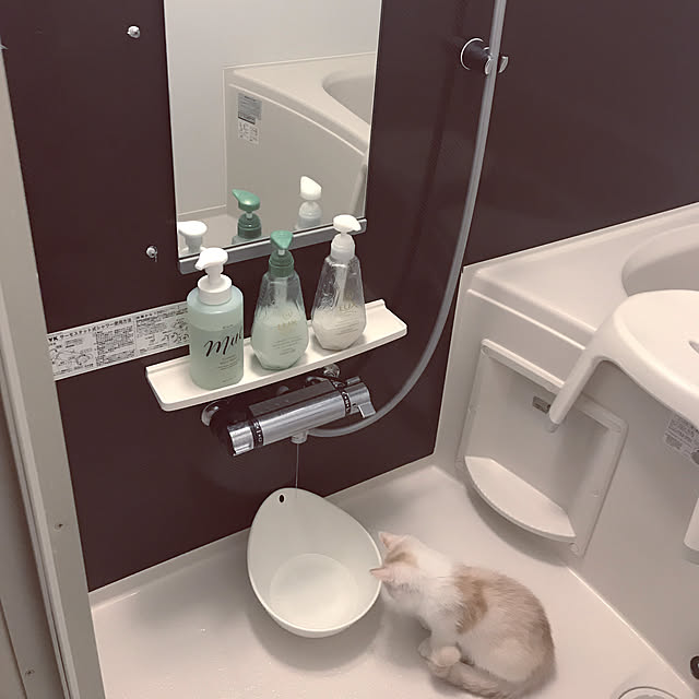 H.Tさんの実例写真