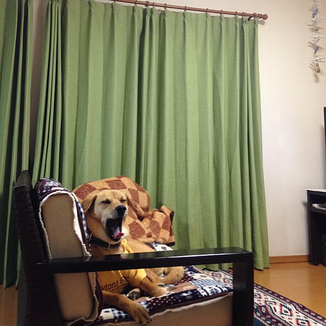ochieさんの実例写真
