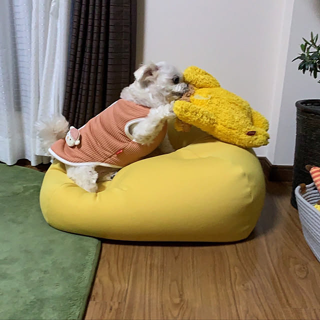 moco.nさんの実例写真