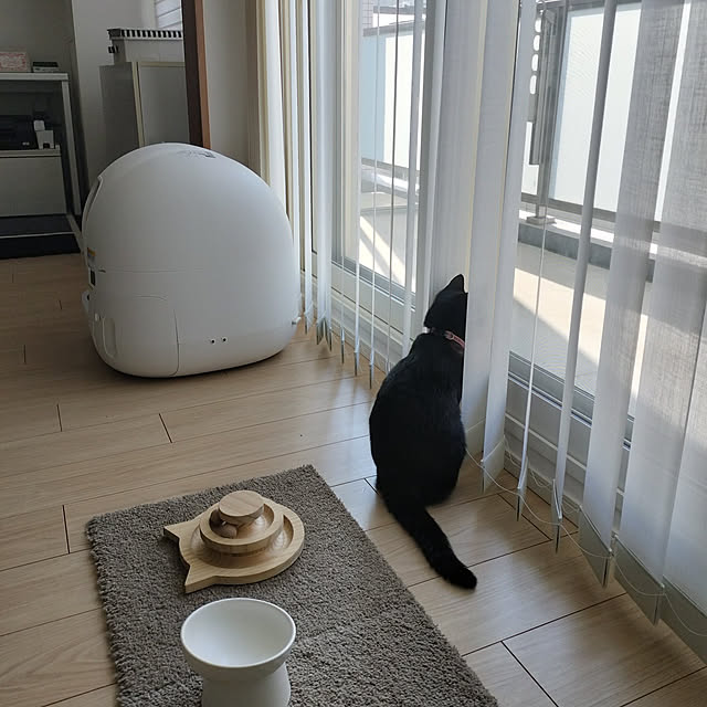 sakuraさんの実例写真