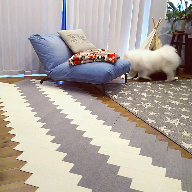 colonさんの実例写真