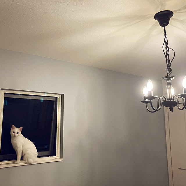 jijicoさんの実例写真