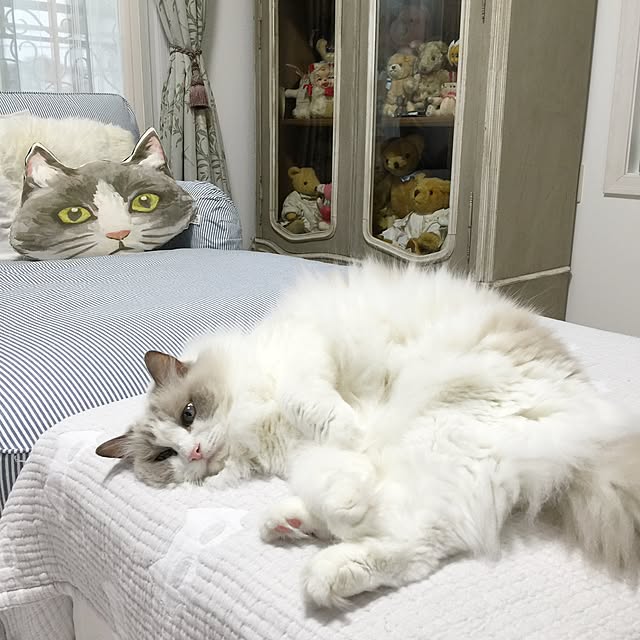 yuchiさんの実例写真