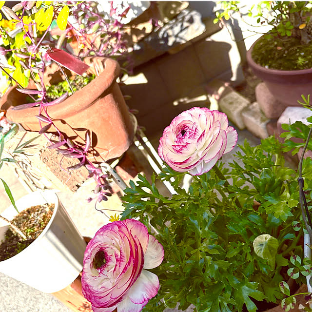 takakoさんの部屋