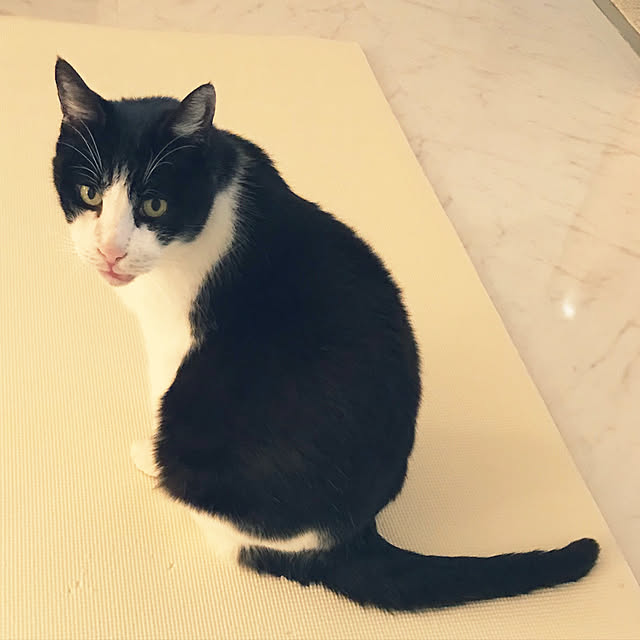 gingerwynksさんの実例写真