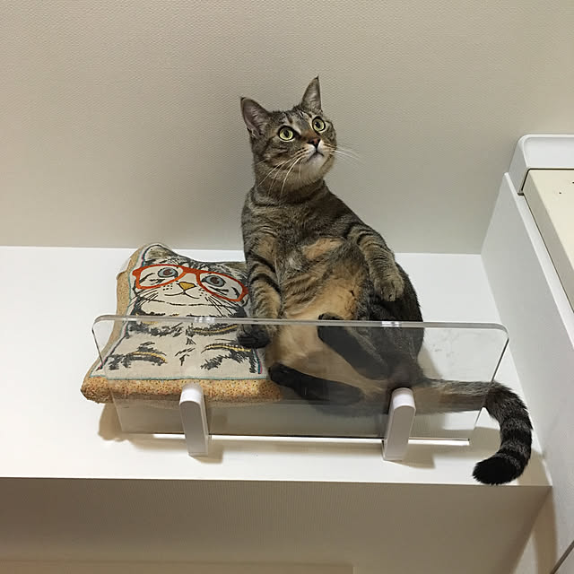 mikomaruさんの実例写真