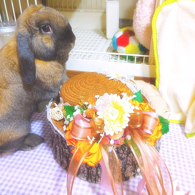 mariaさんの実例写真